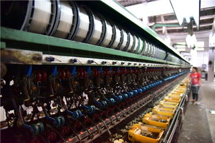 工业遗存焕新颜 珠三角缫丝厂变身广东首家蚕桑丝织研学基地