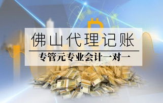专管元佛山代理记账与网络文化经营服务解析